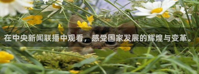 在中央新闻联播中观看，感受国家发展的辉煌与变革。