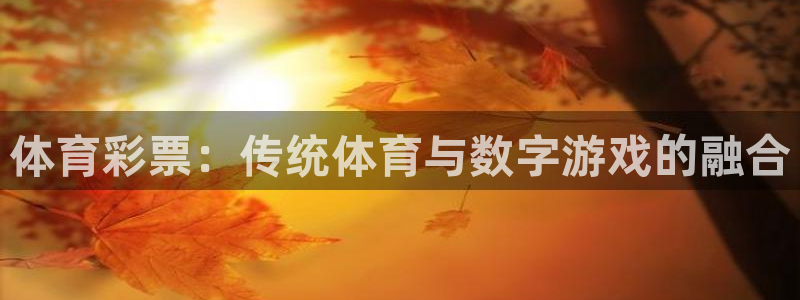 体育彩票：传统体育与数字游戏的融合