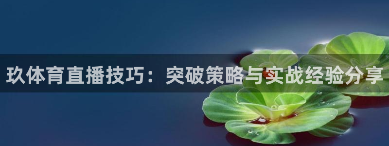 玖体育直播技巧：突破策略与实战经验分享