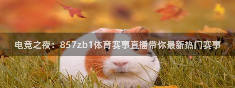 电竞之夜：857zb1体育赛事直播带你最新热门赛事