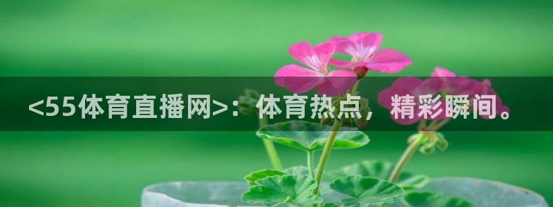 <55体育直播网>：体育热点，精彩瞬间。