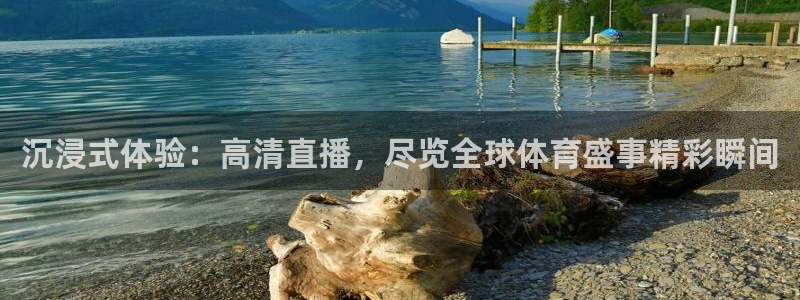 沉浸式体验：高清直播，尽览全球体育盛事精彩瞬间