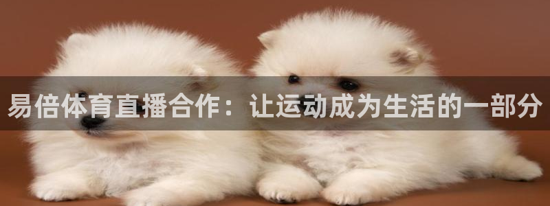易倍体育直播合作：让运动成为生活的一部分