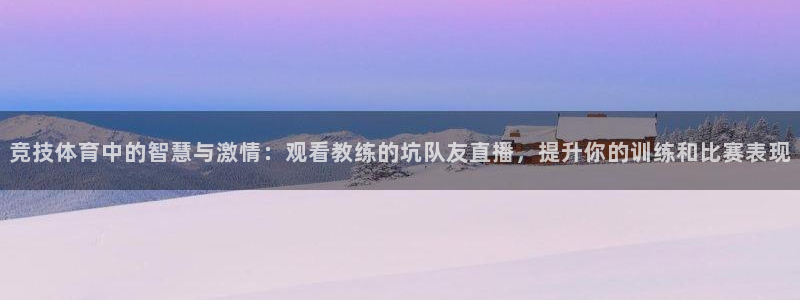 竞技体育中的智慧与激情：观看教练的坑队友直播，提升你的训练和比赛表现