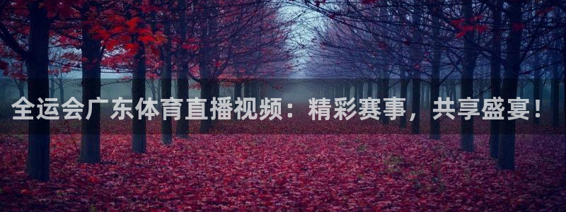 全运会广东体育直播视频：精彩赛事，共享盛宴！