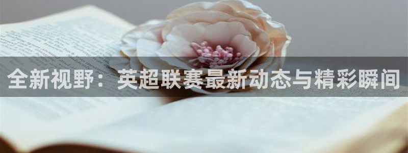 全新视野：英超联赛最新动态与精彩瞬间